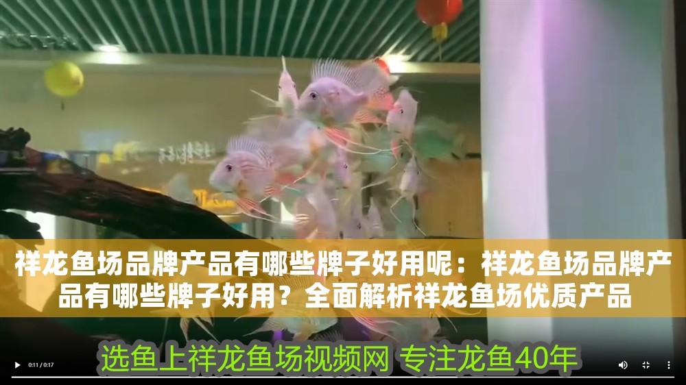 祥龍魚場品牌產品有哪些牌子好用呢：祥龍魚場品牌產品有哪些牌子好用？全面解析祥龍魚場優質產品