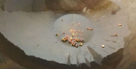 金龍魚顏色變黑一直不動怎么回事：金龍魚身體顏色變黑一直不動可能是由多種原因引起的
