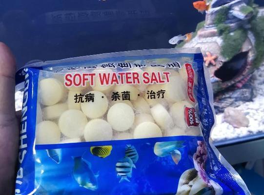 天<strong><mark>津市</mark></strong>寧河區王進水族館（天<strong><mark>津市</mark></strong>寧河區王進水族館地址）