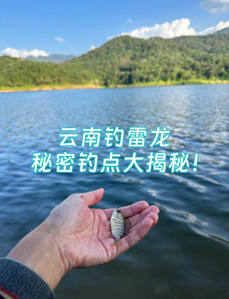 云南雷龍魚哪里抓