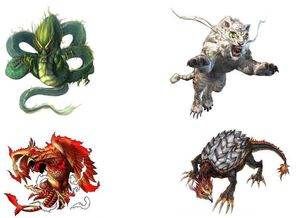龍魚混養四大神獸是什么：關于龍魚混養四大神獸的詳細信息：龍魚混養四大神獸