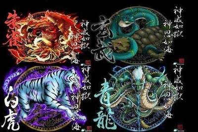 龍魚混養四大神獸是什么：關于龍魚混養四大神獸的詳細信息：龍魚混養四大神獸