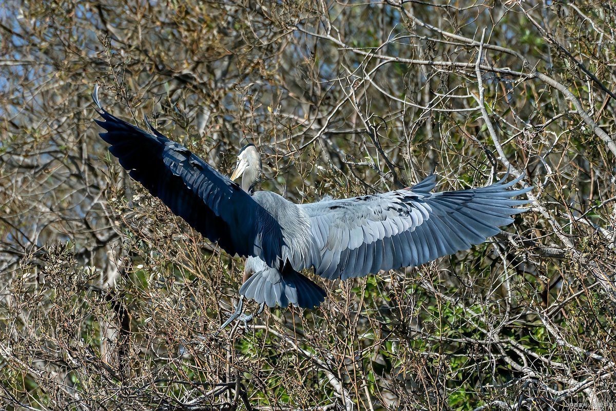 西方文化中還有其他邪惡生物嗎？