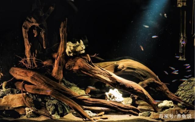 魚缸黃水最忌三種東西（如何正確選擇魚缸過濾材料魚缸水質惡化的原因有哪些） 魚缸黃水最忌三種東西（如何正確選擇魚缸過濾材料魚缸水質惡化的原因有哪些） 龍魚百科 第3張