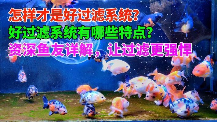 上海閔行七寶明輝水族館（閔行區七寶明強小學）