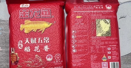 魚缸用增氧泵價格是多少:魚缸增氧機-xtrac增氧機-xtrac增氧機 南通市崇川區利發水族館(南通開發區水族店) 全國水族館企業名錄 南通市崇川區利發水族館(南通開發區水族店) 南通市崇川區利發水族館(南通開發區水族店) 全國水族館企業名錄