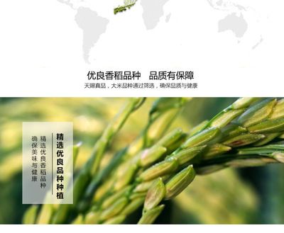 正宗金龍魚是哪個(gè)品種：正宗金龍魚品種及其特點(diǎn)：過背金龍魚是哪個(gè)品種