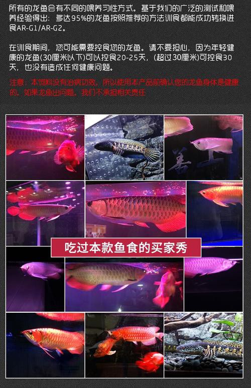 如何判斷龍魚專用增色飼料的質量？