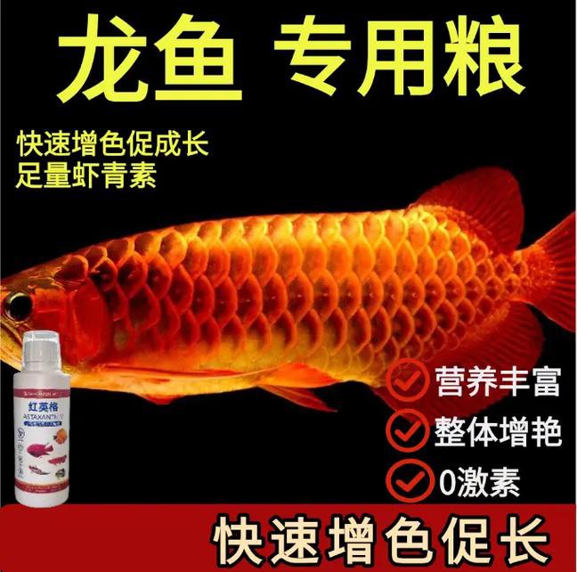 如何判斷龍魚專用增色飼料的質量？