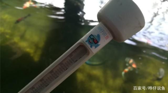 魚缸水發(fā)白的原因及解決方法視頻教程，魚缸水質(zhì)發(fā)白怎么處理