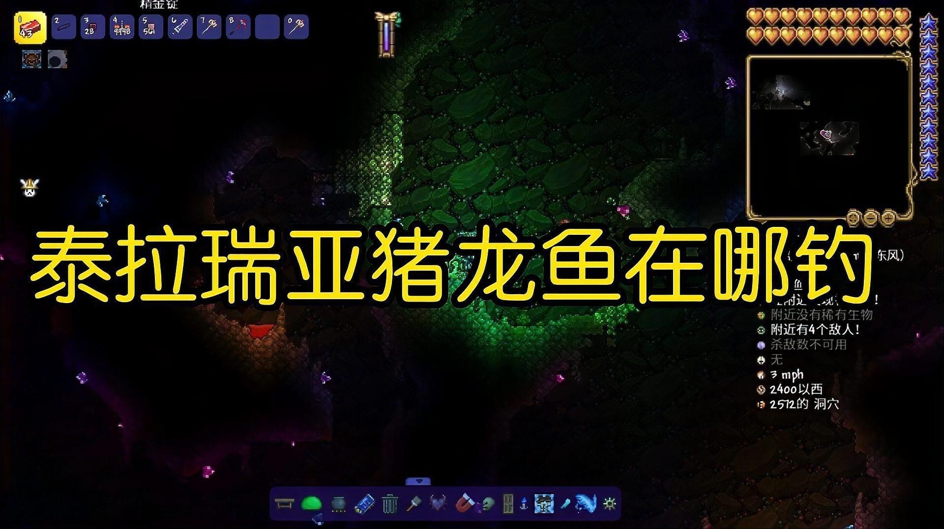 豬龍魚在哪釣