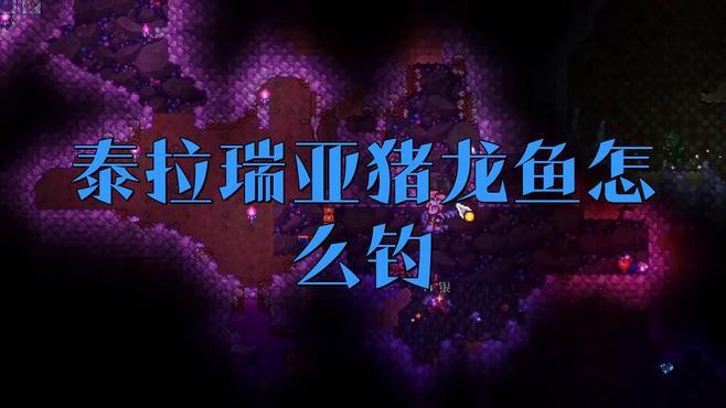 豬龍魚在哪釣