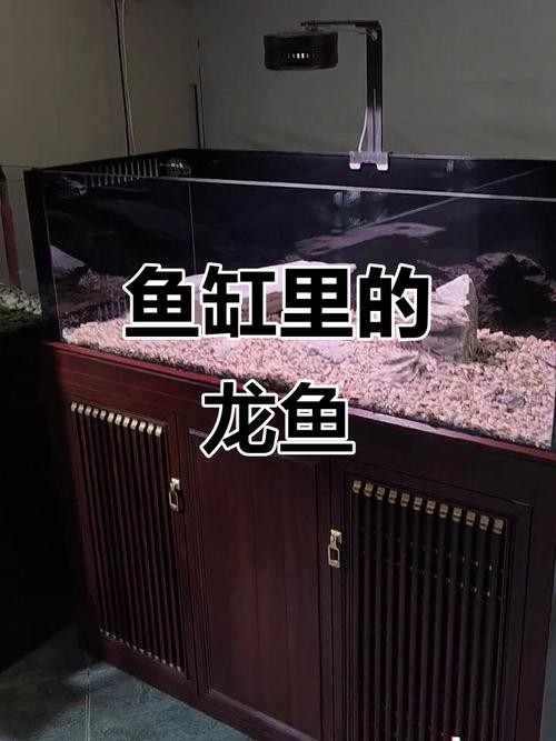 龍魚魚缸制作設(shè)計(jì)圖紙