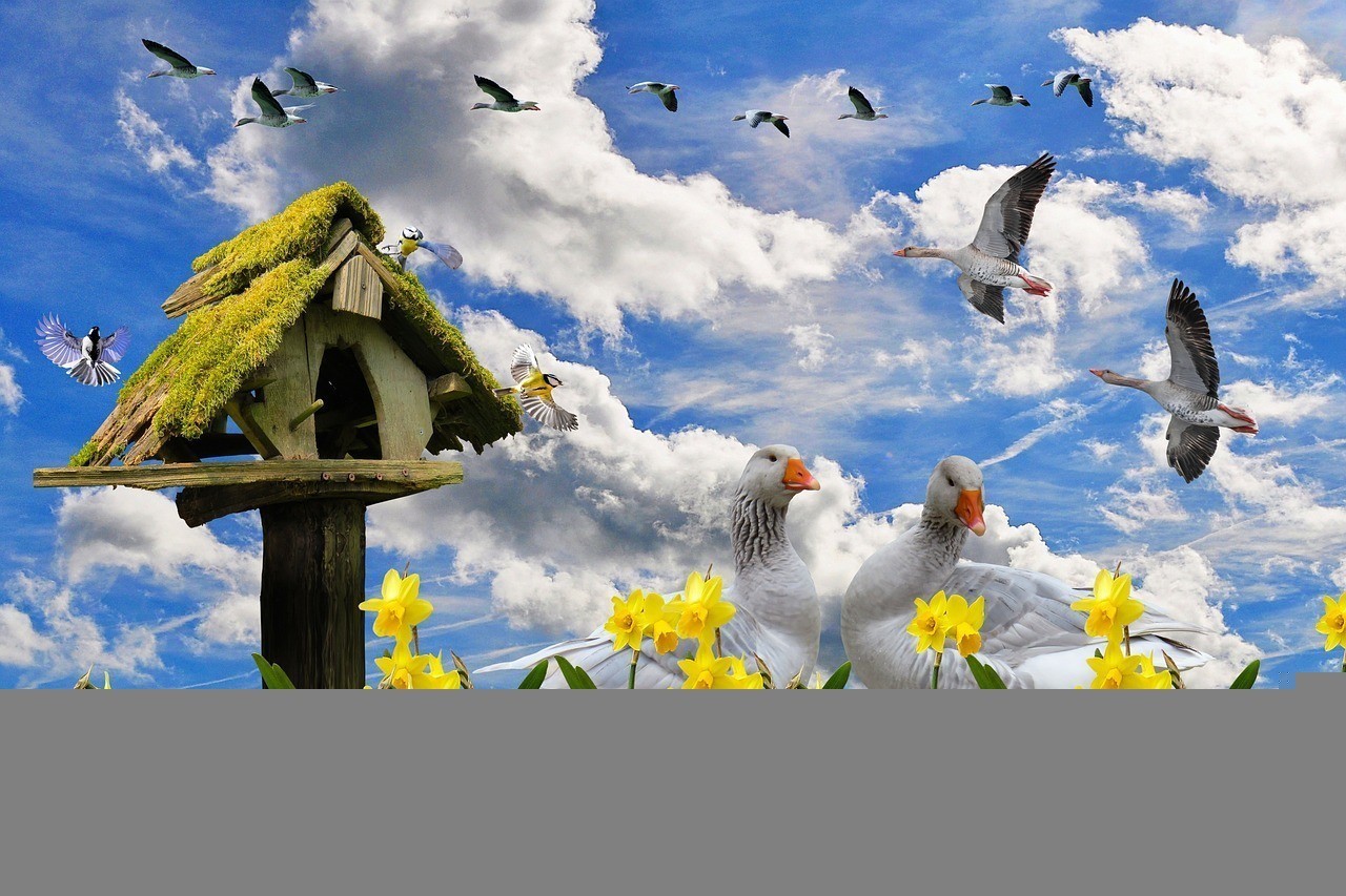 方正縣春滿園花行（方正縣春滿園花行電話）