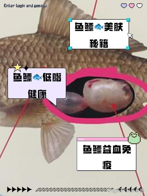 銀龍魚下半身往下傾斜 銀龍魚下半身往下傾斜 龍魚百科 第6張