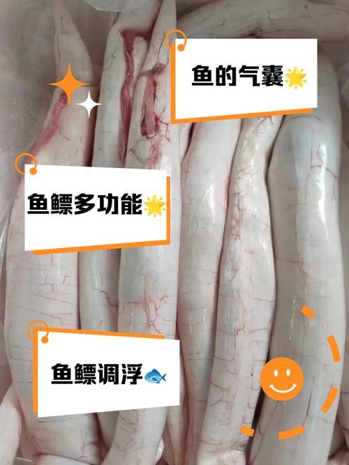 銀龍魚下半身往下傾斜 銀龍魚下半身往下傾斜 龍魚百科 第10張