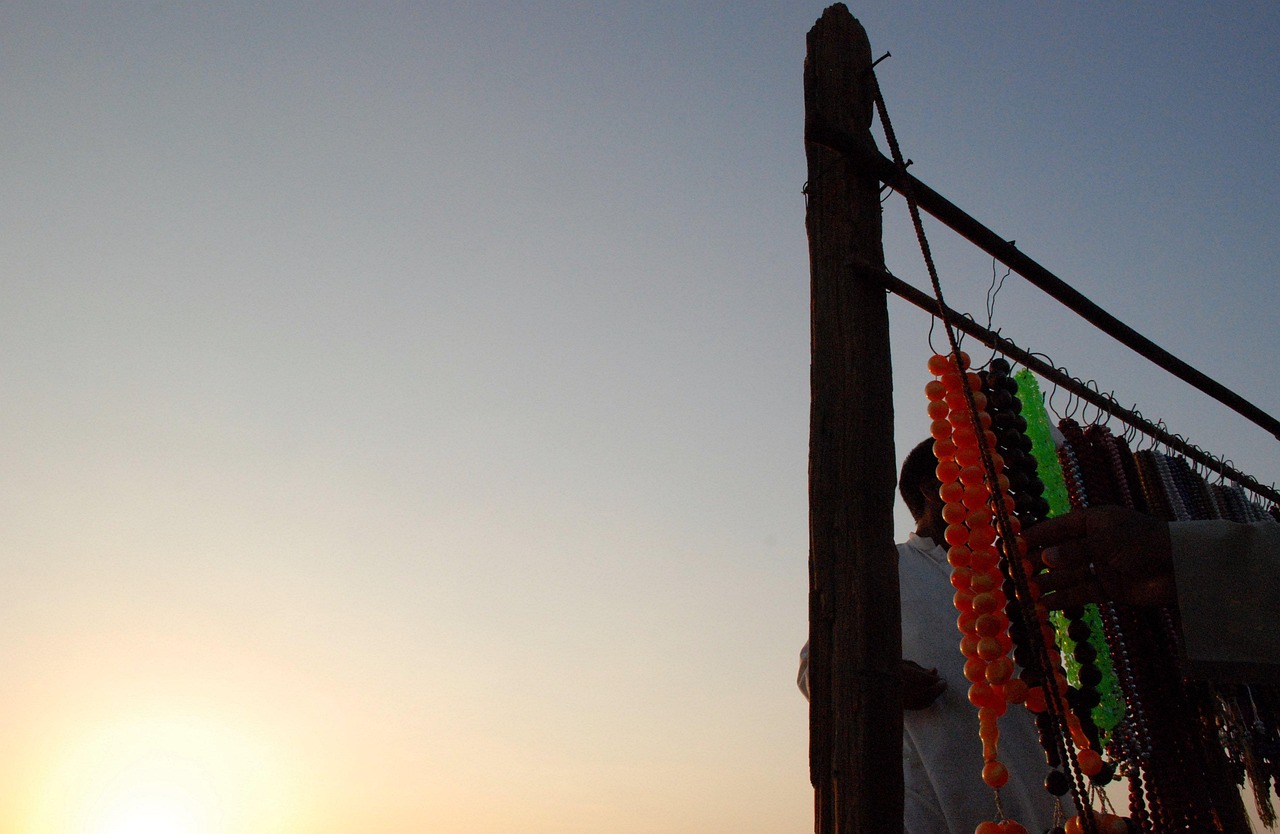 福州市長樂區航城謝宇翔魚缸店