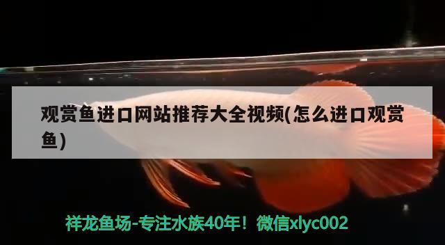 大武口區隆湖四海漁具店 大武口區隆湖四海漁具店 全國水族館企業名錄 第1張