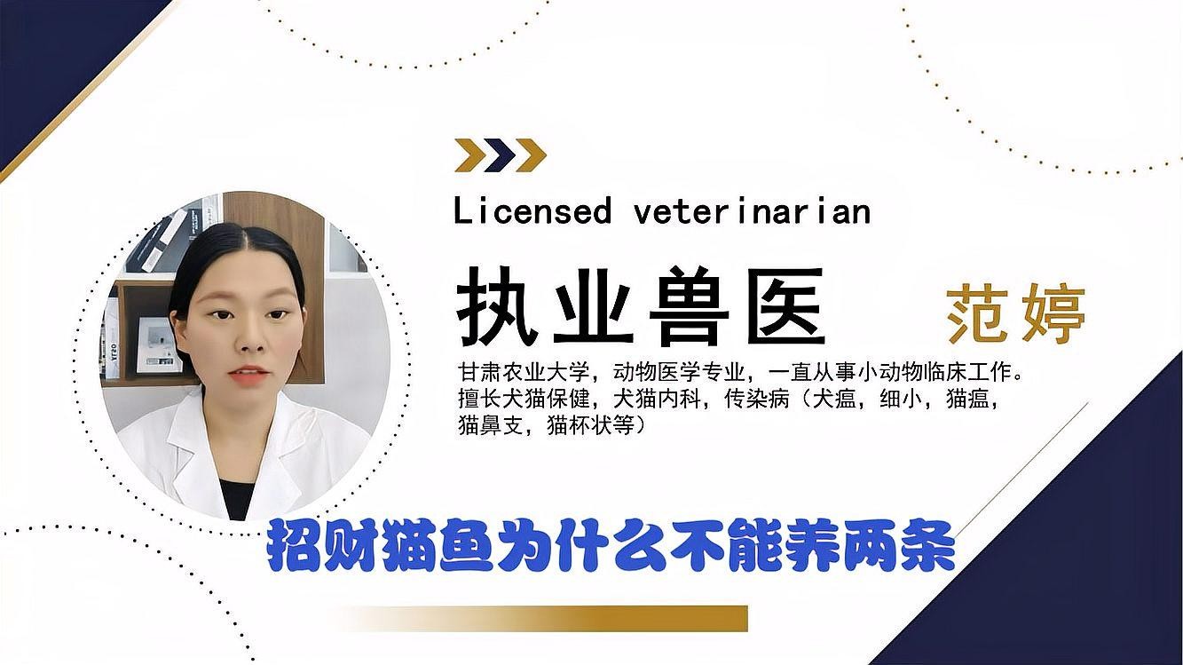 龍須貓魚與其他什么魚混養比較合適？ 龍須貓魚與其他什么魚混養比較合適？ 龍魚百科 第1張