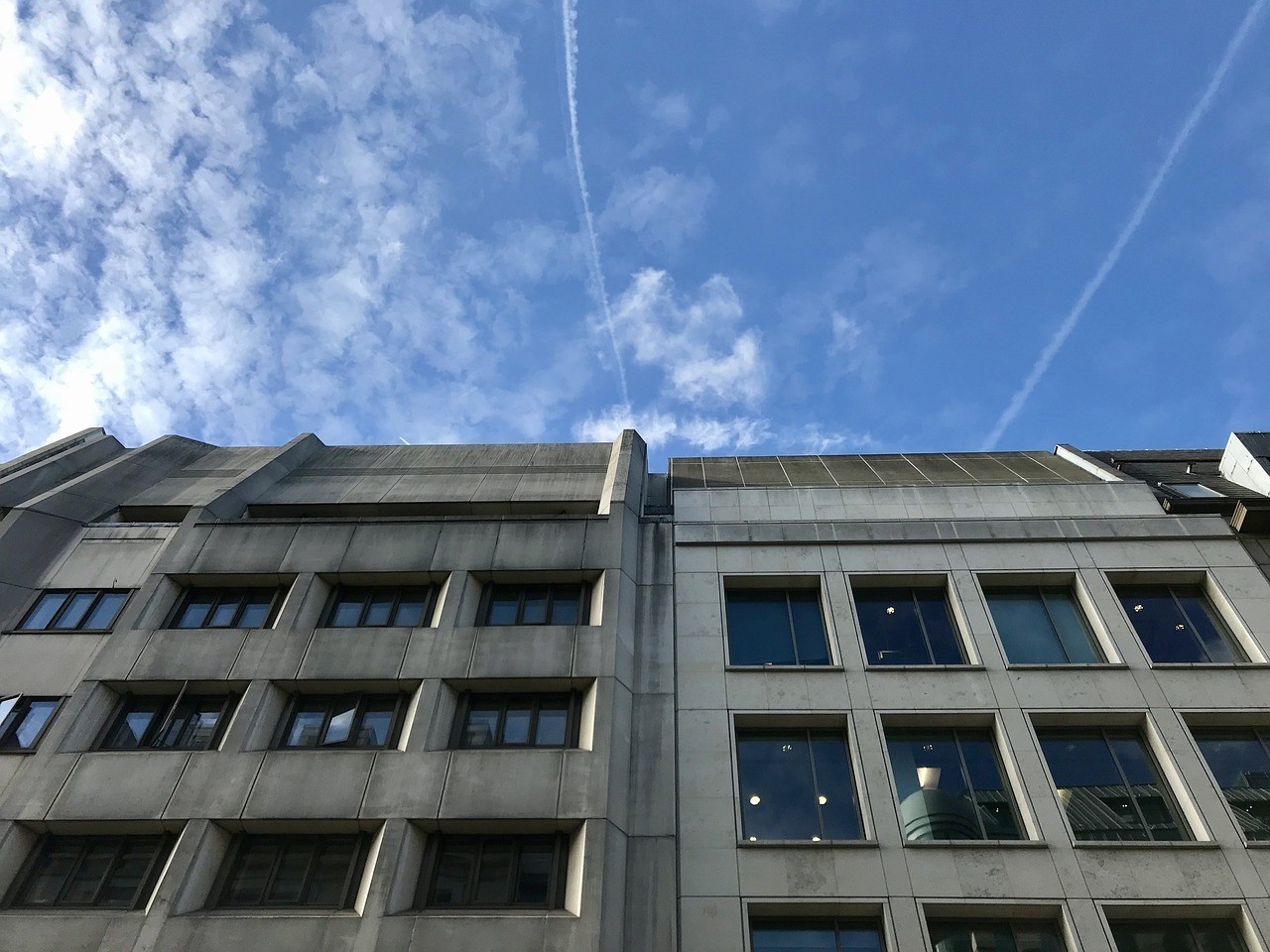 盤錦市雙臺子區成成觀賞魚養殖經銷處（盤錦養魚基地）