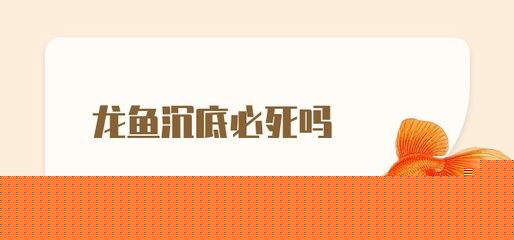 龍魚沉底必死的原因是什么：龍魚沉底一定意味著死亡嗎？