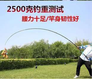 青龍魚桿圖都哪款，青龍魚桿圖的發(fā)展趨勢(shì)