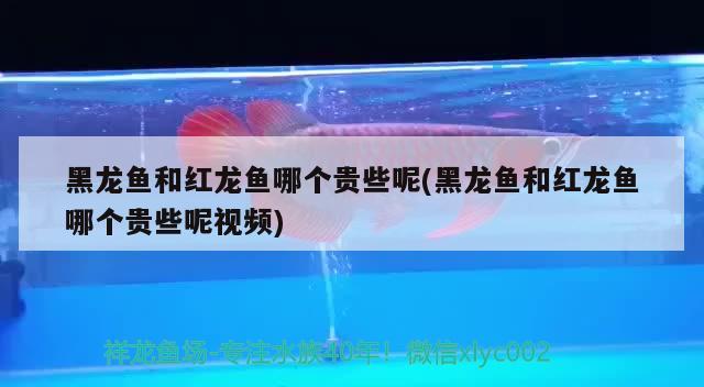 南寧市幾任家具店 全國水族館企業名錄 第2張 南寧市幾任家具店 南寧市幾任家具店 全國水族館企業名錄 第2張