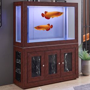 白底魚(yú)缸適合養(yǎng)什么龍魚(yú)好養(yǎng)：白底魚(yú)缸適合養(yǎng)什么龍魚(yú)