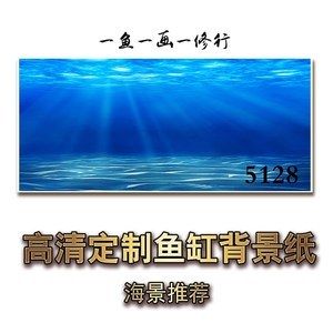 龍魚缸背景紙的選擇（如何選擇龍魚缸背景紙）