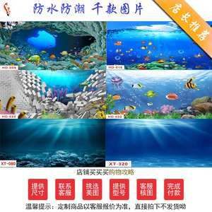 龍魚缸背景紙的選擇（如何選擇龍魚缸背景紙）
