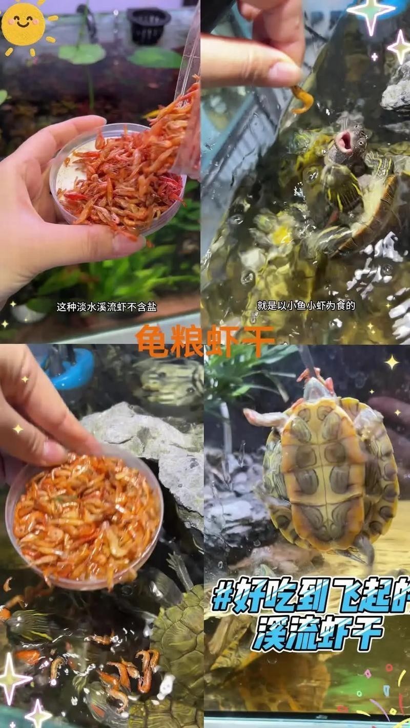 龍龜糧哪個品牌最好