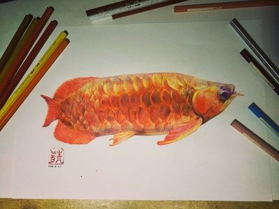 龍魚繪畫，龍魚畫作欣賞與模仿， 龍魚繪畫，龍魚畫作欣賞與模仿， 龍魚百科 第2張