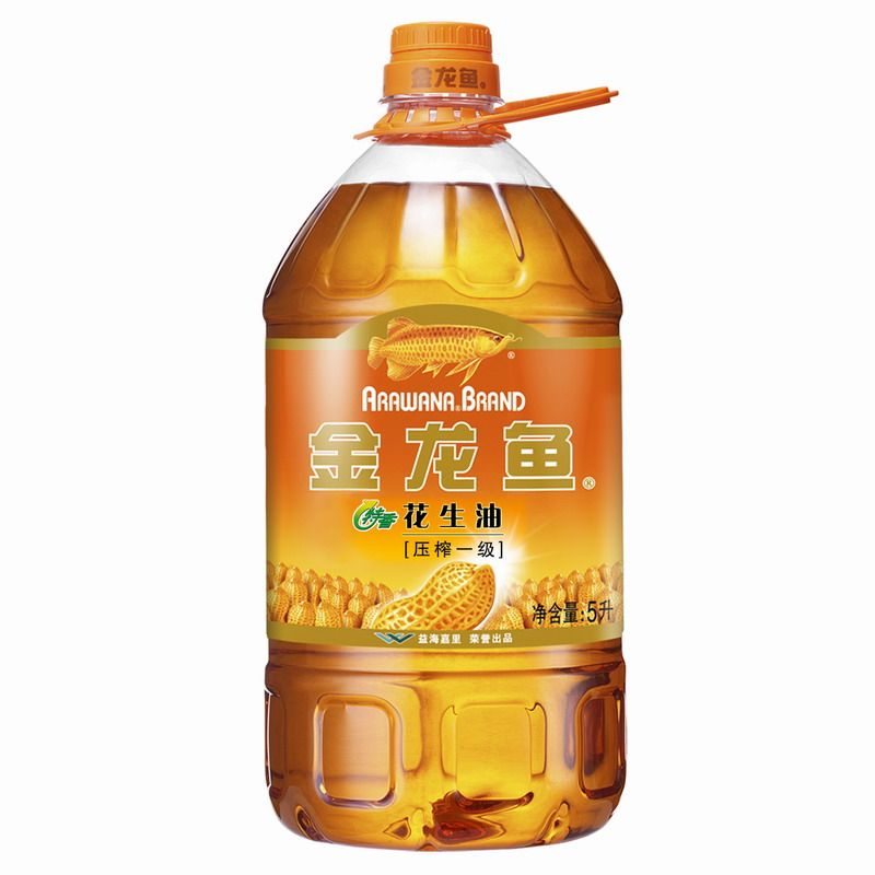 金龍魚趴在魚缸底部是怎么回事？：金龍魚為什么會趴缸