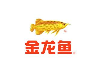 金龍魚的品牌介紹是什么（金龍魚是一個知名的食用品牌）