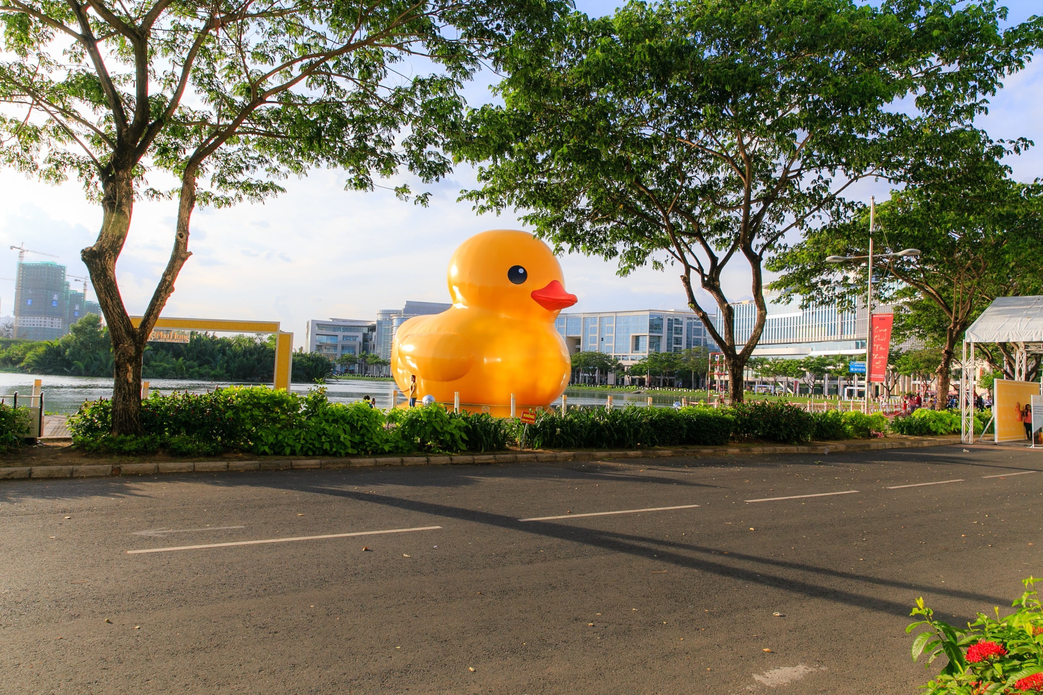 沈陽市鐵西區北鯤鵬花店 沈陽市鐵西區北鯤鵬花店 全國水族館企業名錄 第2張