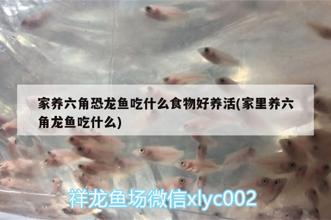 杭州臨安緣生人花店