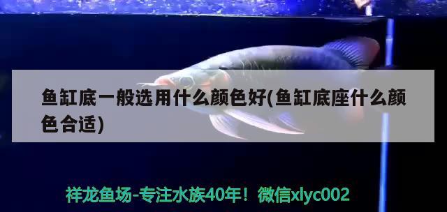 昆區(qū)花苑清晨水族食品冷飲店