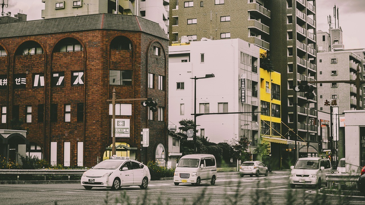 沙依巴克區南昌路明珠花卉市場水玲瓏花業店