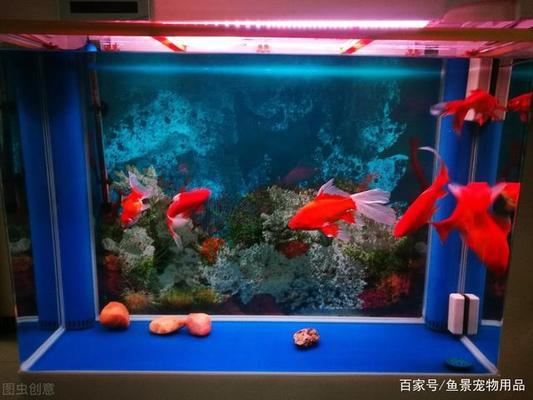杭州市西湖區海印水族館（杭州市西湖區海印水族館地址） 杭州市西湖區海印水族館（杭州市西湖區海印水族館地址） 全國水族館企業名錄