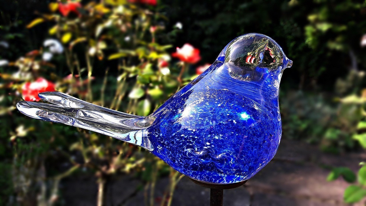 中山市西區花之鳥水族館（中山市西區花之鳥水族館地址） 中山市西區花之鳥水族館（中山市西區花之鳥水族館地址） 全國水族館企業名錄 第2張