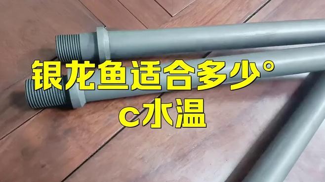 銀龍魚(yú)缸水溫