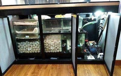 龍魚過濾要用哪些濾材好，養龍魚缸濾材選擇指南：龍魚缸濾材選擇指南