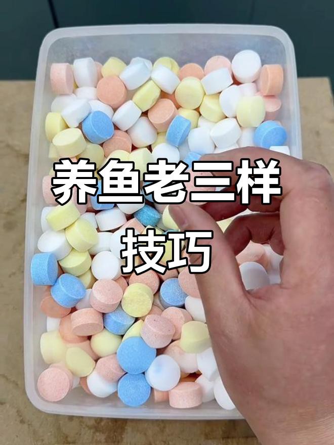 如何判斷黑龍睛是否健康？