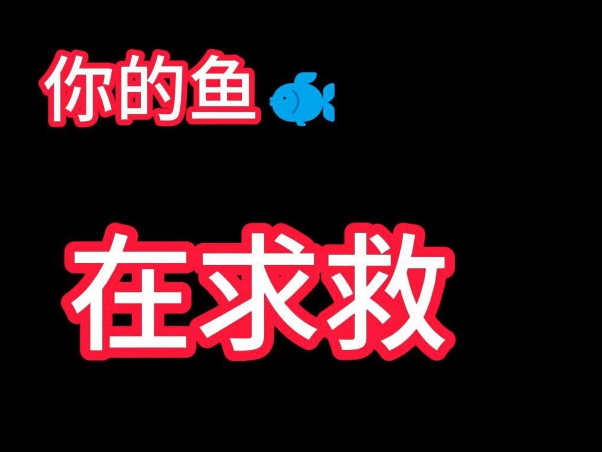 如何判斷黑龍睛是否健康？