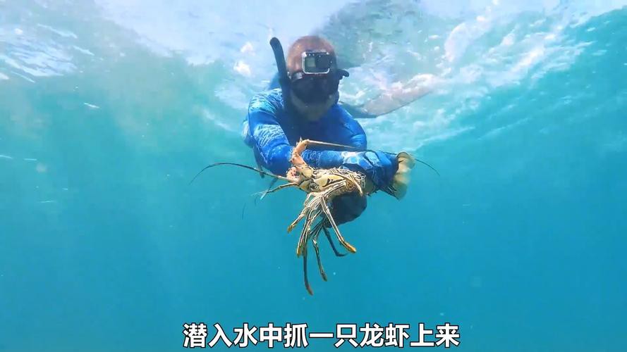 給我一張鮮活龍蝦特寫的圖片