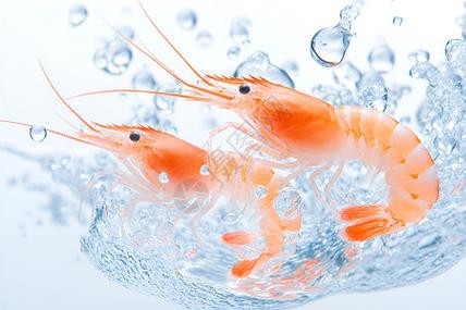 給我一張鮮活龍蝦特寫的圖片