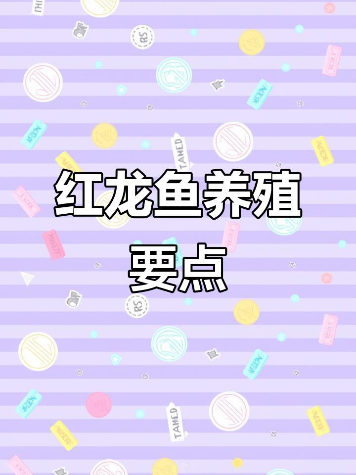 紅龍魚過背后如何保養(yǎng)