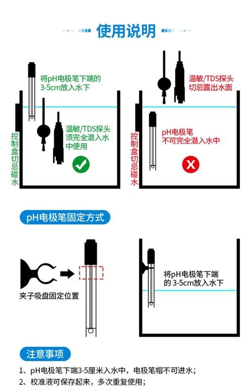 銀龍魚的養(yǎng)殖方法和注意事項圖片大全大圖