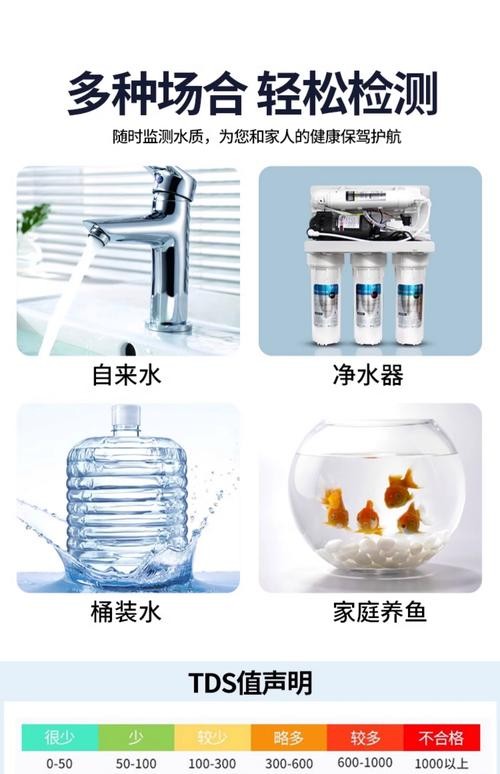 銀龍魚的養(yǎng)殖方法和注意事項圖片大全大圖