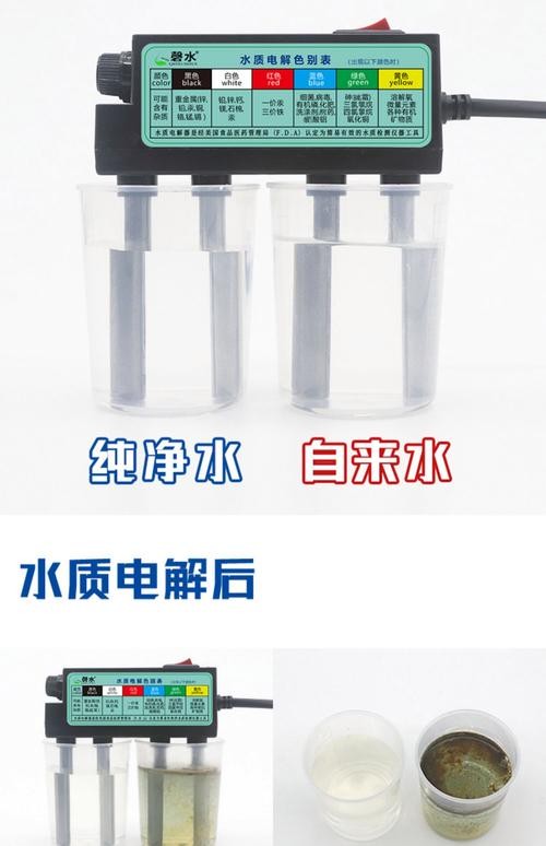 銀龍魚的養(yǎng)殖方法和注意事項圖片大全大圖